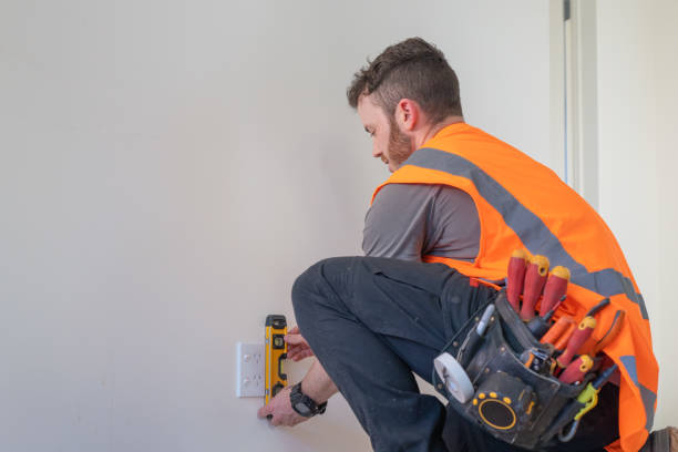 Best Electric Panel Repair  in Essex, MD
